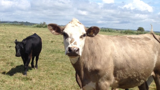 01439f5755c56b8afac96775f3a15c9d16d4258710